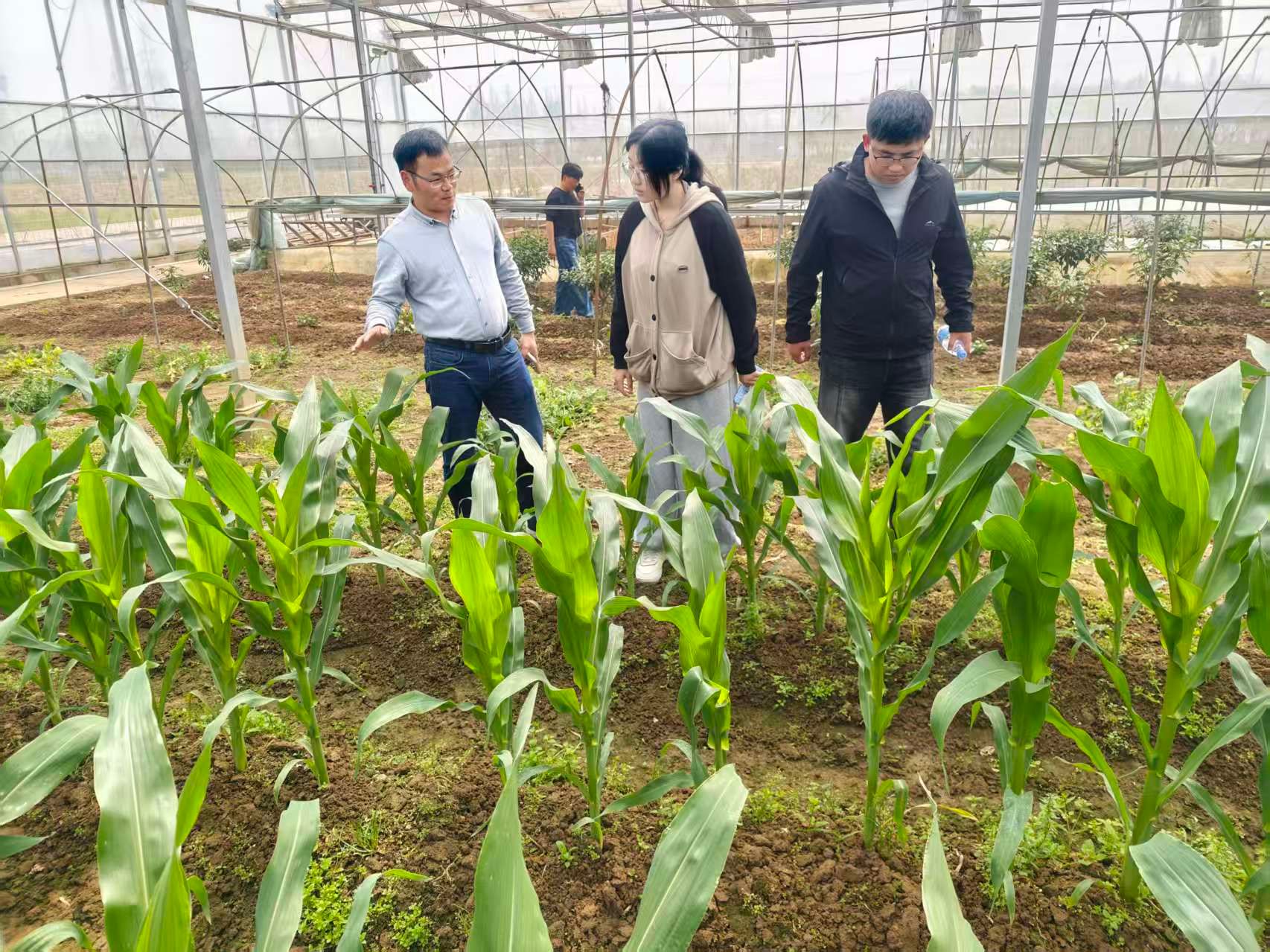216FE2D029751D7E58AC1C93BCD_321A671A_74CF5
