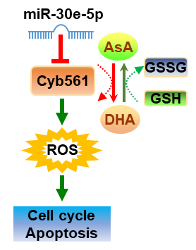 5157DB1368B7EE335CFE1E2ADBE_07CDB557_4646 5157DB1368B7EE335CFE1E2ADBE_07CDB557_4646